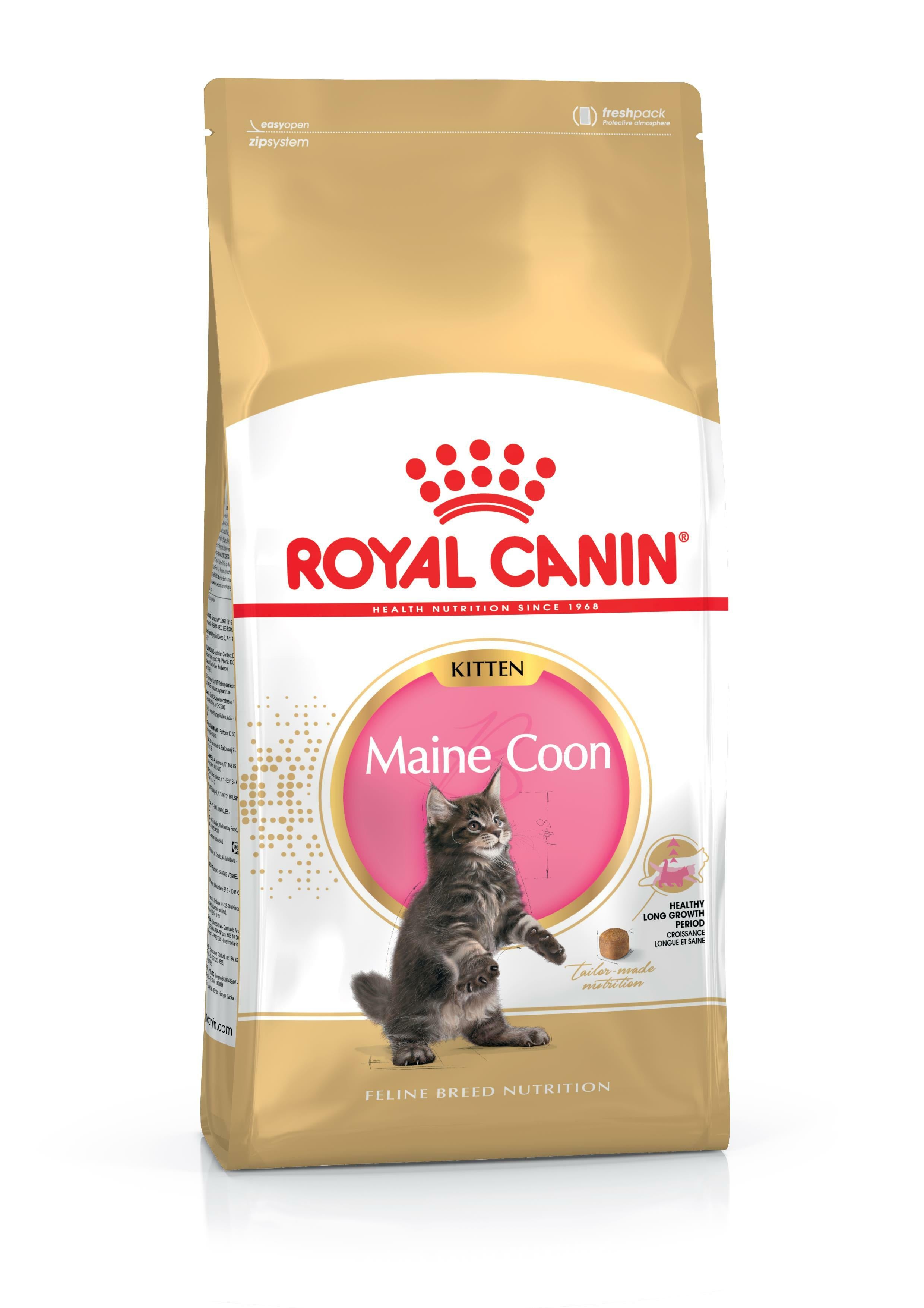 Royal canin kitten feline health nutrition 2024 kitten dry food