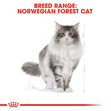 ROYAL CANIN® Norwegian Forest Adult Dry Cat Food