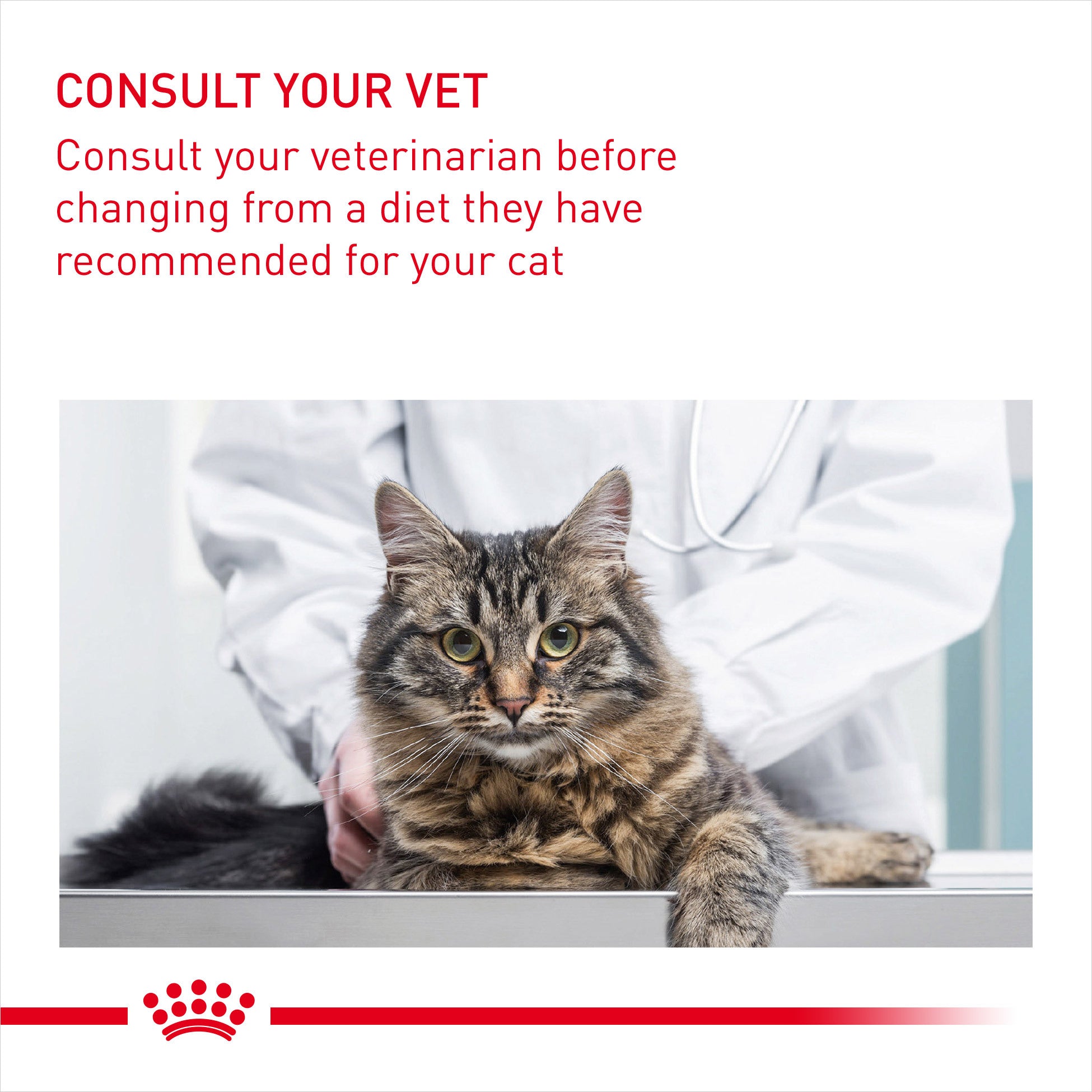 Royal canin hair top & skin care