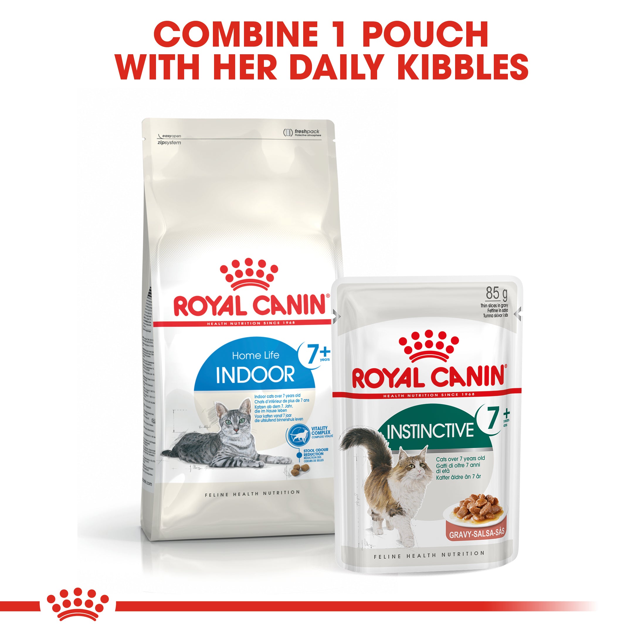 Royal canin senior dry best sale cat food