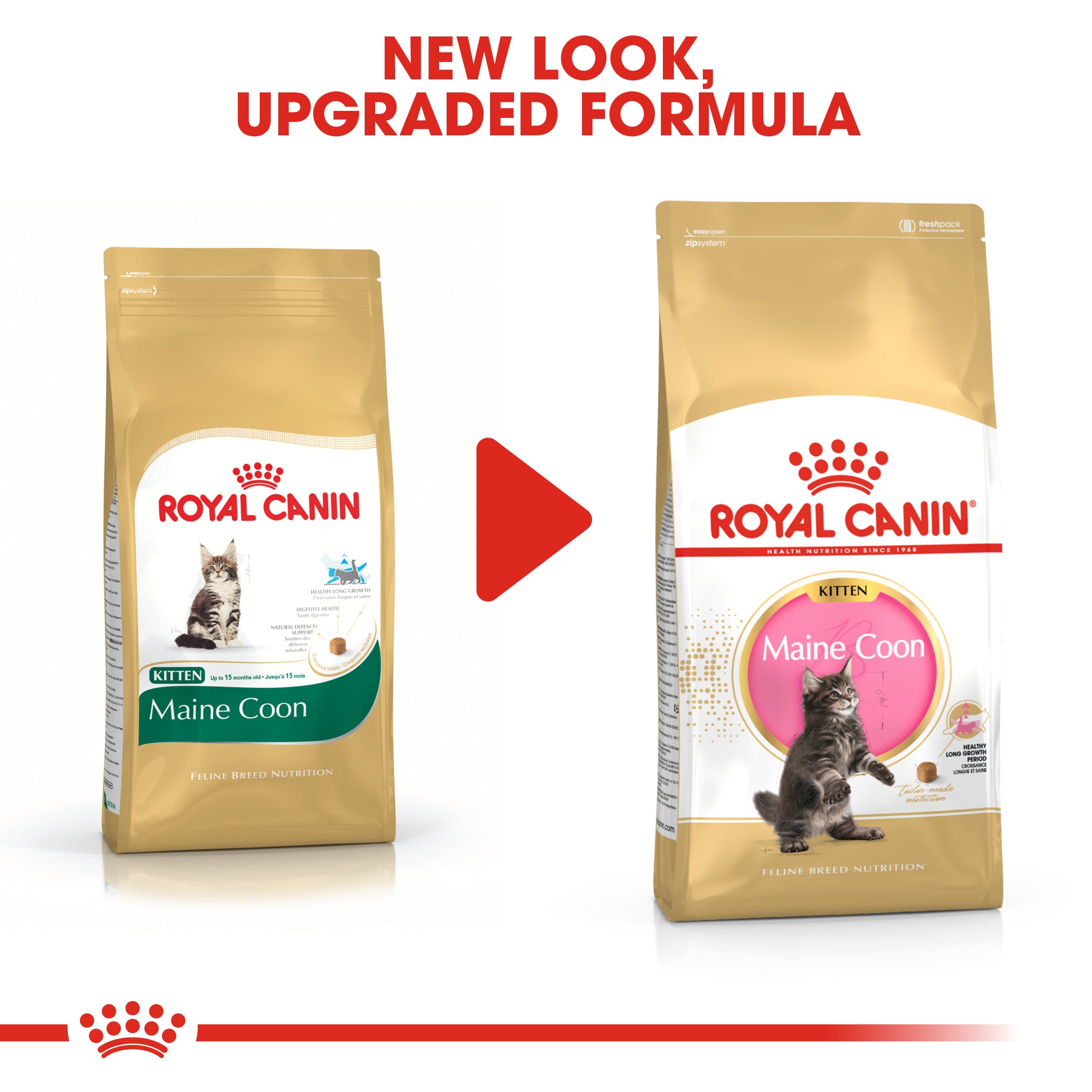 Royal canin kitten shop food near me