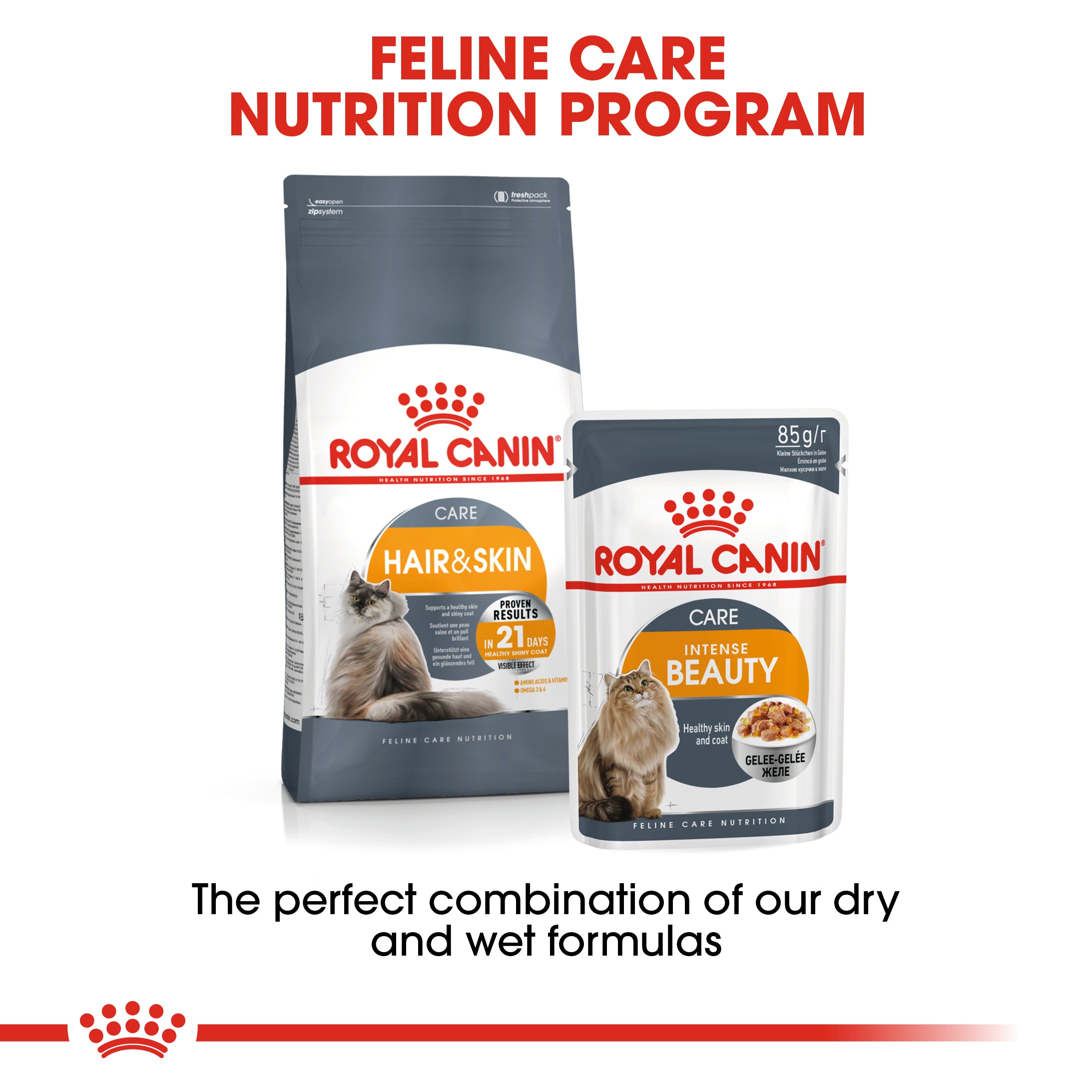 Royal canin hair & skin care 2025 dry cat food