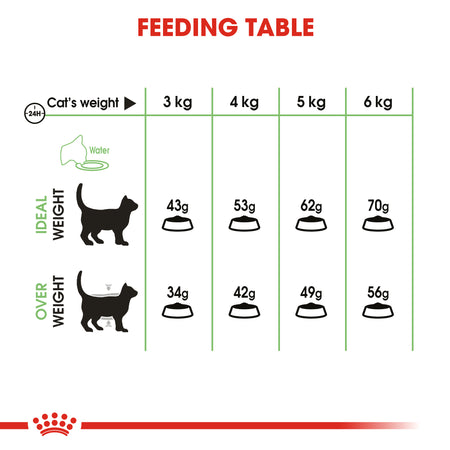 ROYAL CANIN® Digestive Care Adult Dry Cat Food