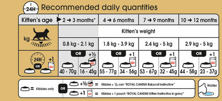 ROYAL CANIN® British Shorthair Kitten Dry Food