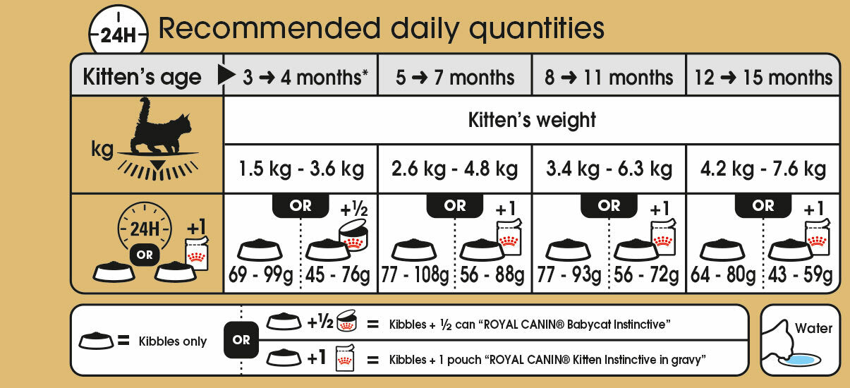 Kitten feeding 2024 guide uk