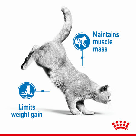 ROYAL CANIN® Light Weight Care in Jelly Adult Wet Cat Food
