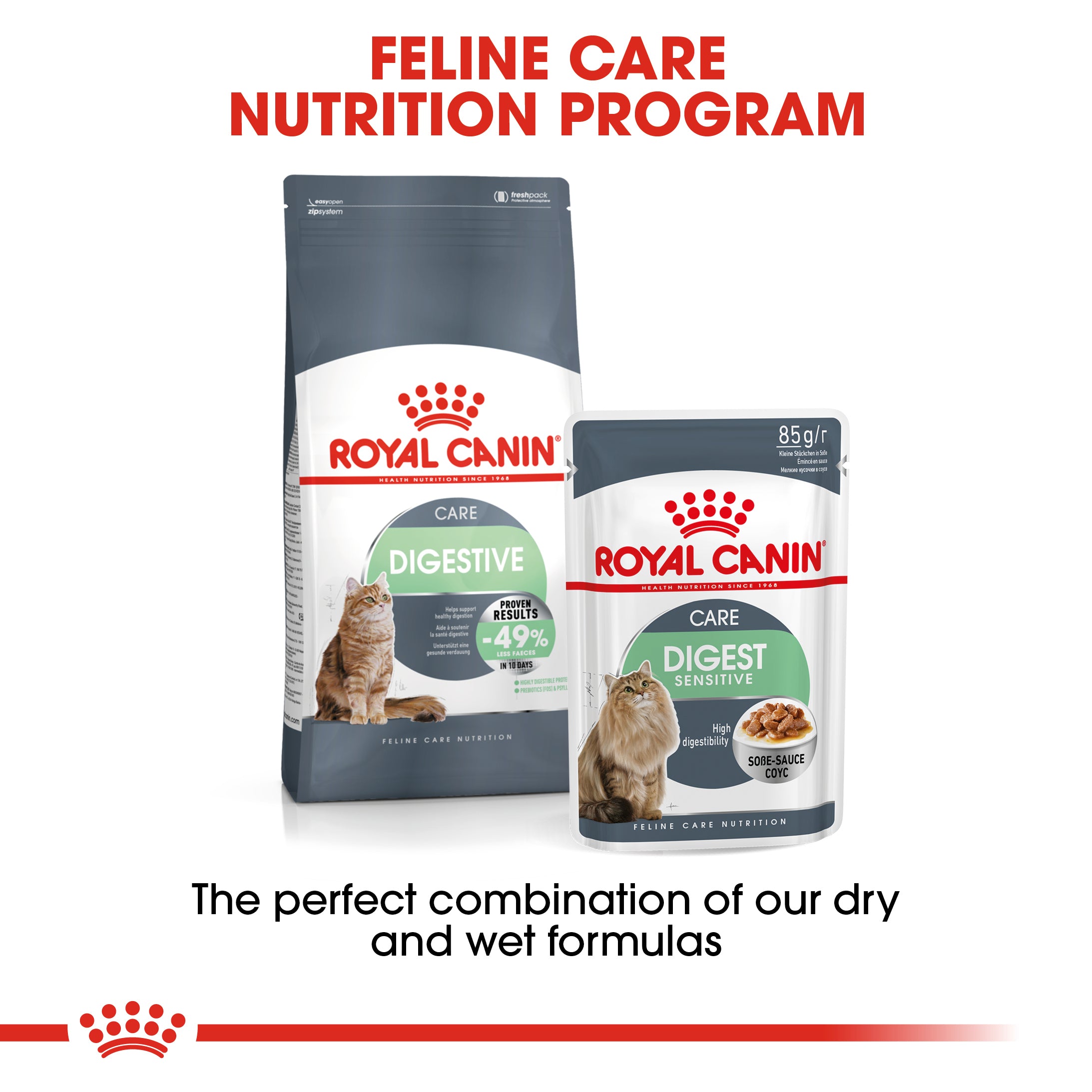 Royal canin feeding on sale program