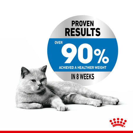 ROYAL CANIN® Light Weight Care in Jelly Adult Wet Cat Food