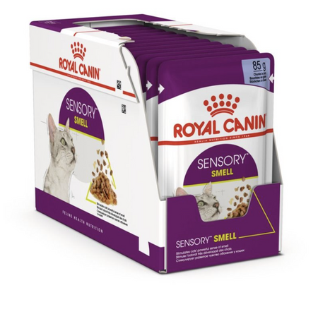 Royal Canin Sensory Smell Adult Wet Cat Food (in Jelly)