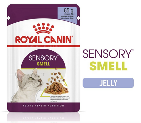 Royal Canin Sensory Smell Adult Wet Cat Food (in Jelly)