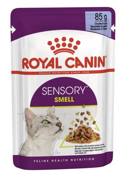 ROYAL CANIN British Shorthair Adult in gravy 85g Maltbys Stores