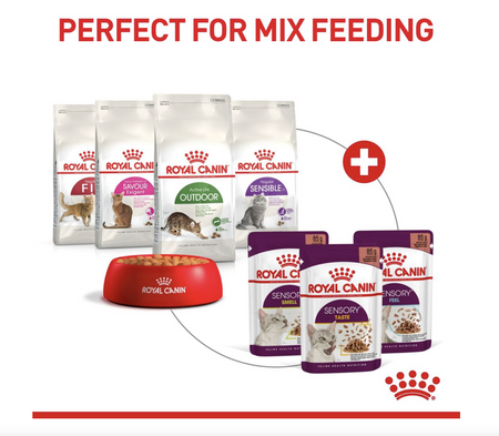 Royal Canin Sensory Smell Adult Wet Cat Food (in Jelly)