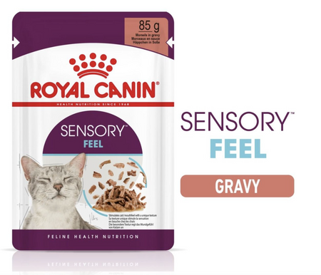Royal Canin Sensory Feel Adult Wet Cat Food (in Gravy)