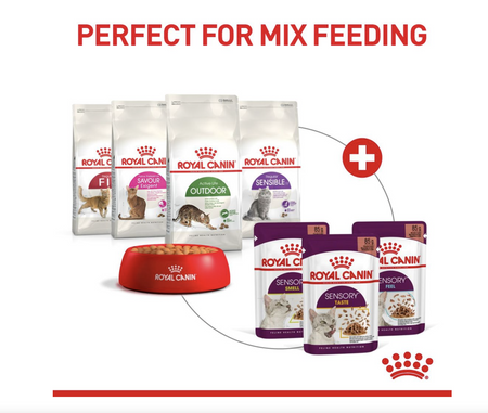 Royal Canin Sensory Feel Adult Wet Cat Food (in Gravy)