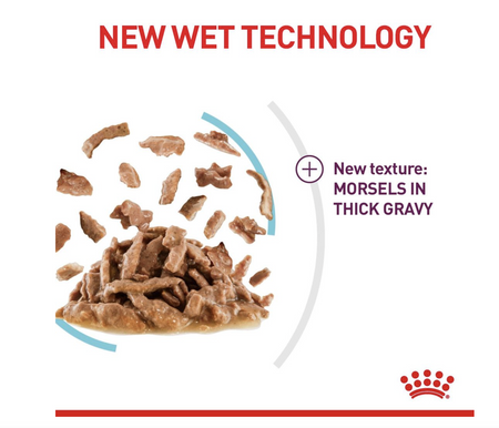 Royal Canin Sensory Feel Adult Wet Cat Food (in Gravy)