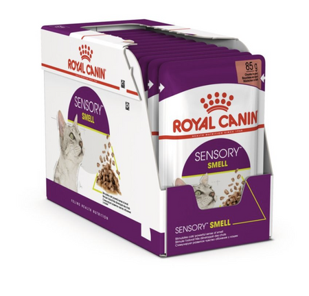 ROYAL CANIN British Shorthair Adult in gravy 85g Maltbys Stores