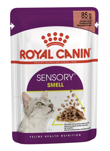 Royal canin online norwegian forest cat