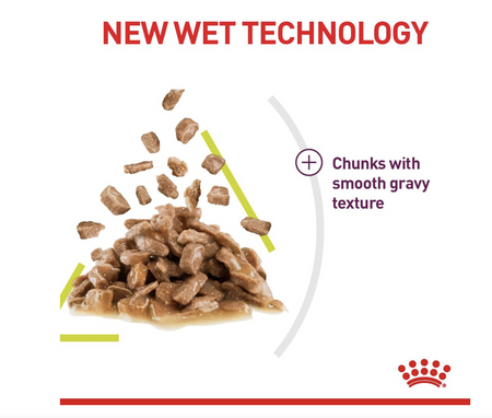 Royal Canin Sensory Smell Adult Wet Cat Food (in Gravy)