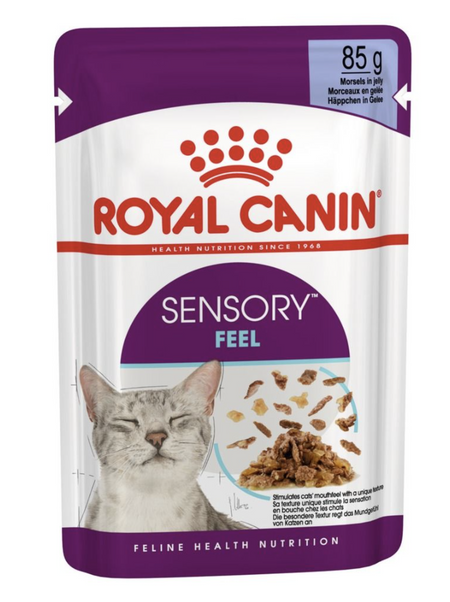 Royal canin feline health nutrition kitten dry cat food cheap