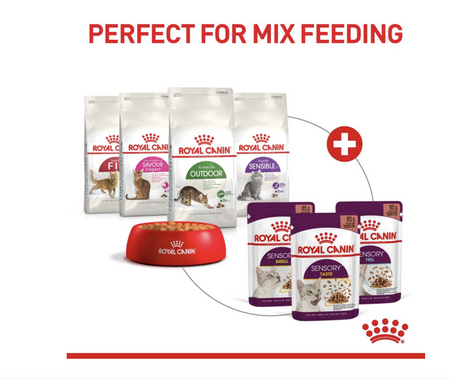 Royal canin outdoor cat hot sale