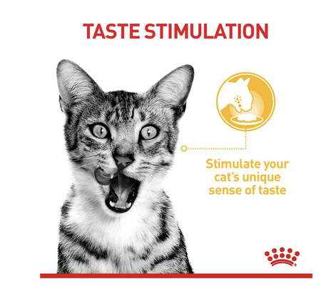 Royal Canin Sensory Taste Adult Wet Cat Food (in Gravy)