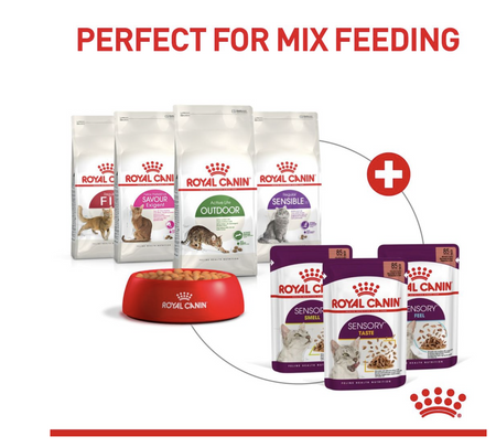 Royal Canin Sensory Taste Adult Wet Cat Food (in Jelly)