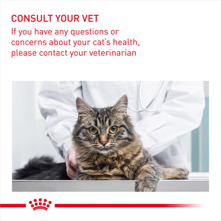 ROYAL CANIN Urinary Care In Gravy Adult Wet Cat Food