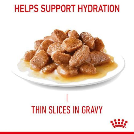 ROYAL CANIN Digestive Care In Gravy Adult Wet Cat Food